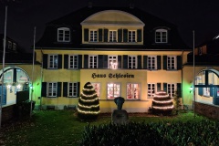 IMG_20251130_174055481_HDR