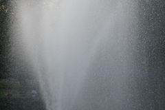 IMG_0249